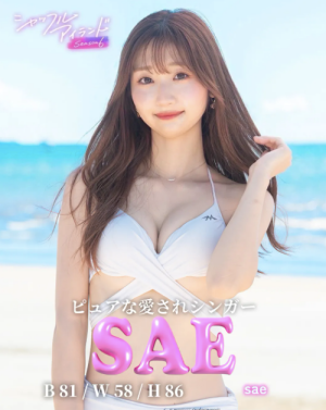 シャッフルアイランド6 さえ