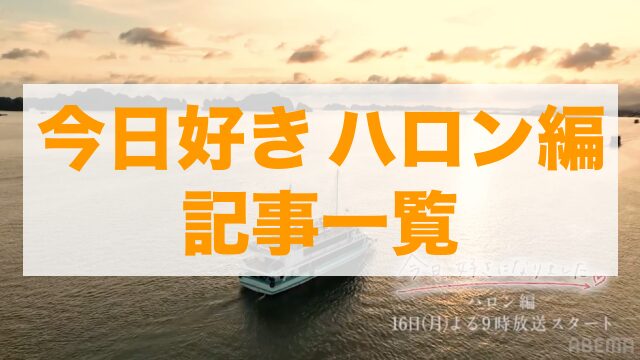 今日好きハロン編 記事一覧